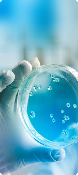 研發(fā)優(yōu)勢(shì)